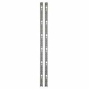 Main Image for APC NetShelter Cable Management, Vertical Cable Manager, for NetShelter SX 42U, Black, 60 x 1930 x 10 mm