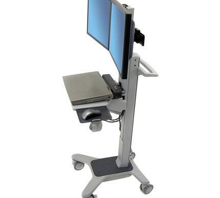 Main Image for Ergotron Neo-Flex&reg; Dual WideView WorkSpace