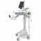 Main Image for Ergotron StyleView&reg; Cart with LCD Pivot, LiFe Powered, US/CA/MX