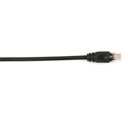 Main Image for Black Box Connect Cat.6 UTP Patch Network Cable