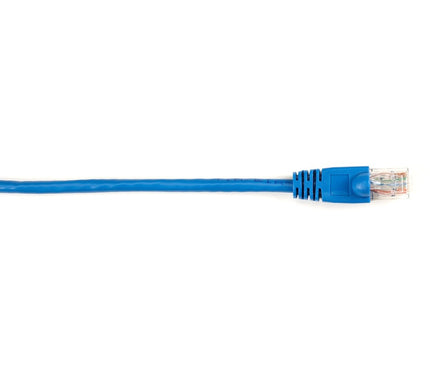 Main Image for Black Box Connect Cat.6 UTP Patch Network Cable