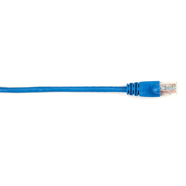 Main Image for Black Box Connect Cat.6 UTP Patch Network Cable