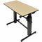 Main Image for Ergotron WorkFit-D Sit-Stand Desk (birch)