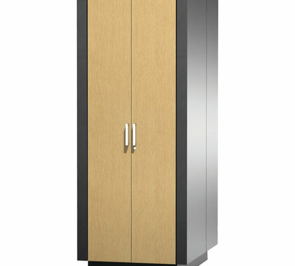 Main Image for APC by Schneider Electric NetShelter CX Rack Cabinet