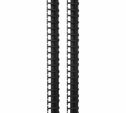Main Image for APC NetShelter Cable Management, Vertical Cable Manager, for NetShelter SX 600mm Wide 42U, Set of 2, 107 x 889 x 45 mm
