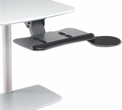 Main Image for Ergotron Keyboard & Mouse Caddy, Compact