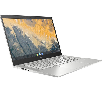 Main Image for HP Pro c640 14" Chromebook - Intel Core i5 10th Gen i5-10310U - 8 GB - 64 GB Flash Memory - English Keyboard