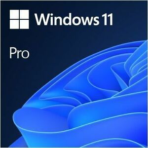 Main Image for Microsoft Windows 11 Pro 64-bit - Box Pack - 1 License