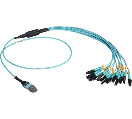 Main Image for Black Box MTP OM3 Fiber Optic Harness Cable - Plenum, 12-Strand