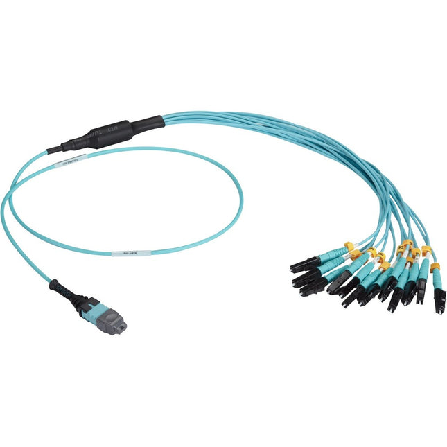 Main Image for Black Box MTP OM3 Fiber Optic Harness Cable - Plenum, 12-Strand