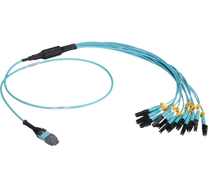 Main Image for Black Box MTP OM3 Fiber Optic Harness Cable - Plenum, 12-Strand