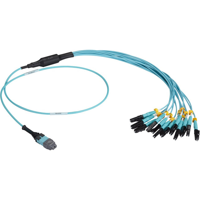 Main Image for Black Box MTP OM3 Fiber Optic Harness Cable - Plenum, 12-Strand
