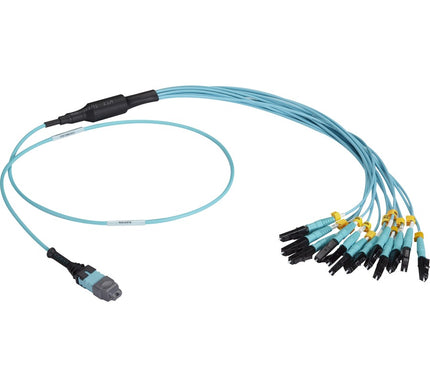 Main Image for Black Box MTP OM3 Fiber Optic Harness Cable - Plenum, 12-Strand