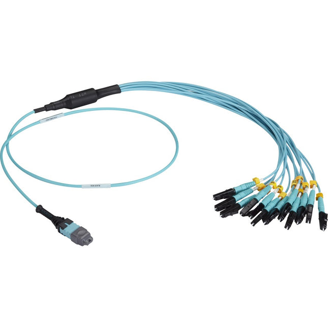 Main Image for Black Box MTP OM3 Fiber Optic Harness Cable - Plenum, 12-Strand