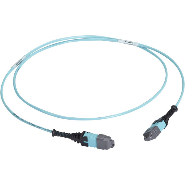 Main Image for Black Box MTP OM3 Fiber Optic Trunk Cable - Plenum, 24-Strand, Straight-Pinned