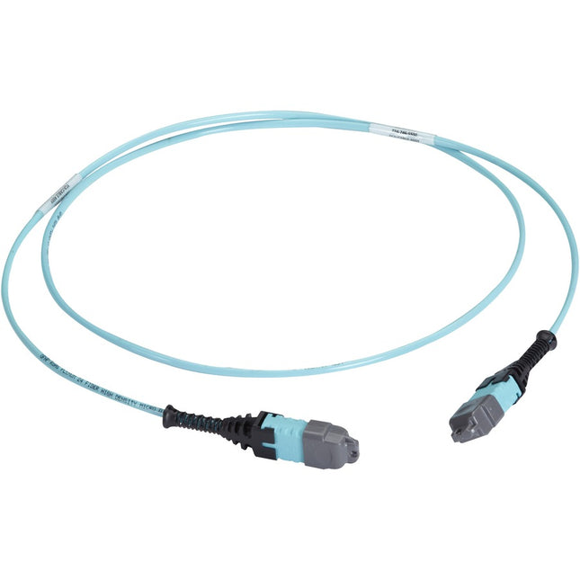 Main Image for Black Box MTP OM3 Fiber Optic Trunk Cable - Plenum, 12-Strand, Type A