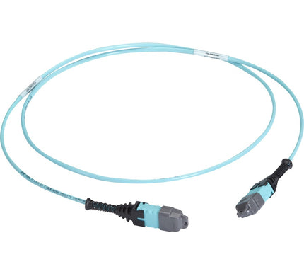 Main Image for Black Box MTP OM3 Fiber Optic Trunk Cable - Plenum, 12-Strand, Type A