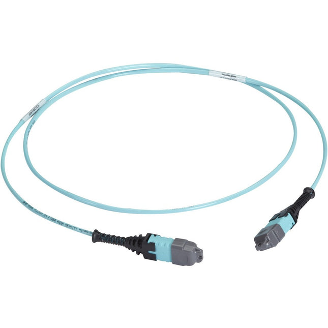 Main Image for Black Box MTP OM3 Fiber Optic Trunk Cable - Plenum, 12-Strand, Type A
