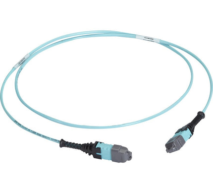 Main Image for Black Box MTP OM3 Fiber Optic Trunk Cable - Plenum, 24-Strand, Type A