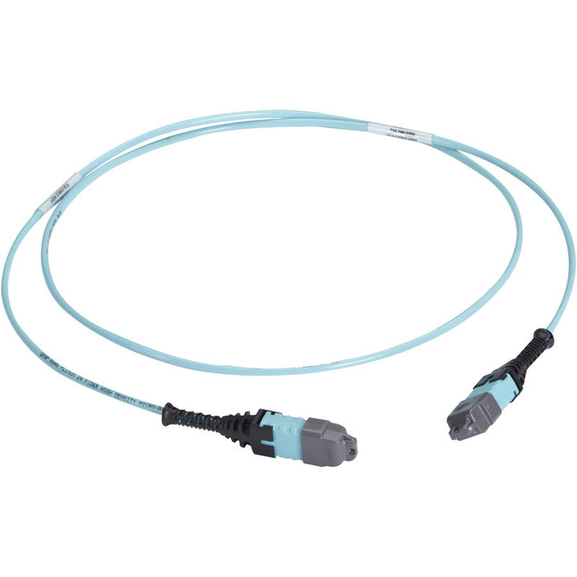 Main Image for Black Box MTP OM3 Fiber Optic Trunk Cable - Plenum, 24-Strand, Type A
