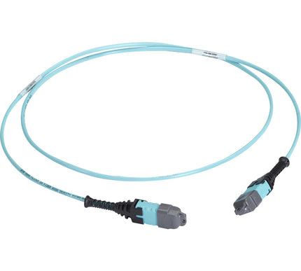 Main Image for Black Box MTP OM3 Fiber Optic Trunk Cable - Plenum, 24-Strand, Type A
