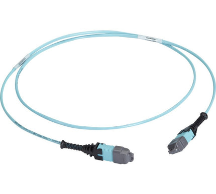 Main Image for Black Box MTP OM3 Fiber Optic Trunk Cable - Plenum, 12-Strand, Type C