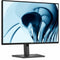 Main Image for Dell Pro P P2426 24" Class WUXGA LED Monitor - 16:10 - Dark Gray - TAA Compliant